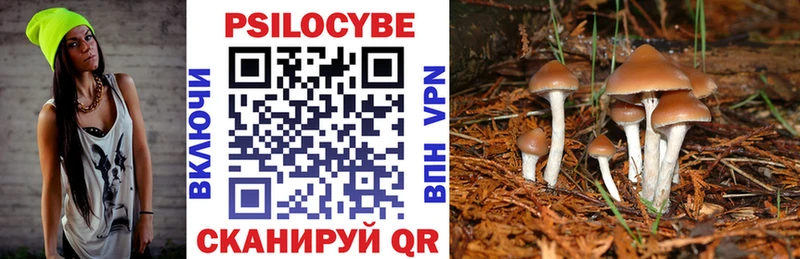 omg ссылка  Ярославль  Псилоцибиновые грибы MAGIC MUSHROOMS  цена наркотик 